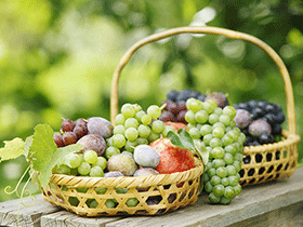 守护温柔的海底“巨人” 长隆践行特色科普教育